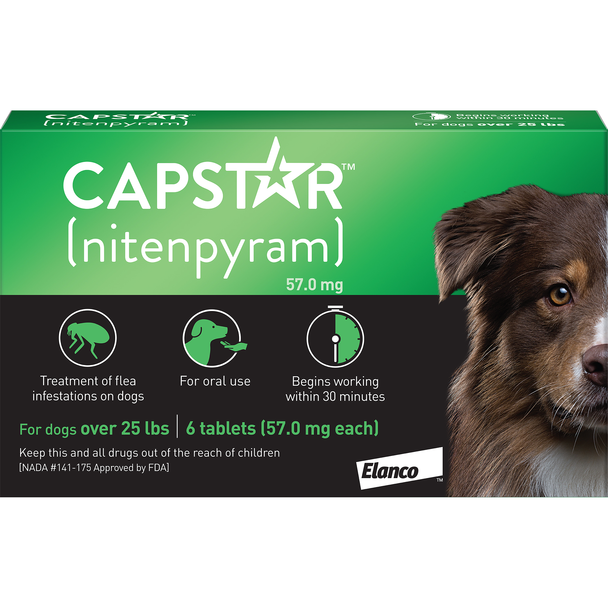 capstar safe for dogs